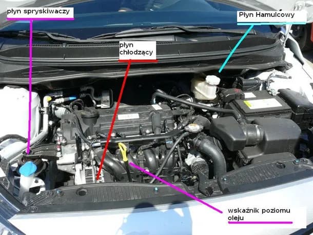 Co jest pod maską Toyota Yaris - kluczowe elementy silnika i ich funkcje Co jest pod maską Toyota Yaris - kluczowe elementy silnika i ich funkcje