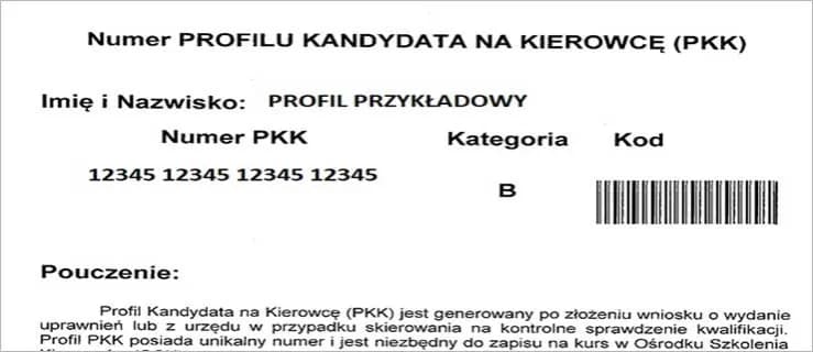 Profil kandydata na kierowcę: co jest potrzebne, aby zdobyć wymarzoną pracę? Profil kandydata na kierowcę: co jest potrzebne, aby zdobyć wymarzoną pracę?